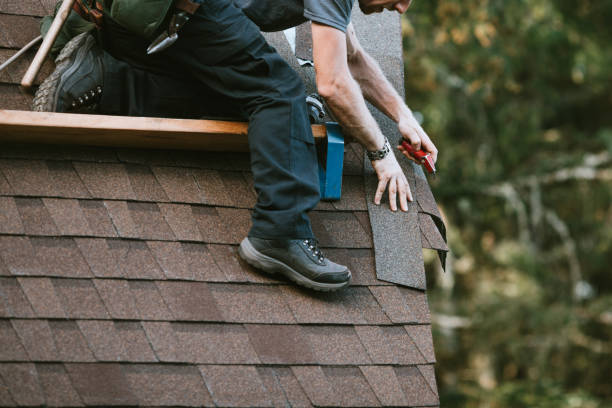 Best Local Roofing Companies  in USA